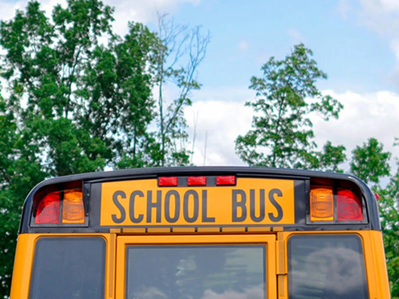 School Bus next to trees